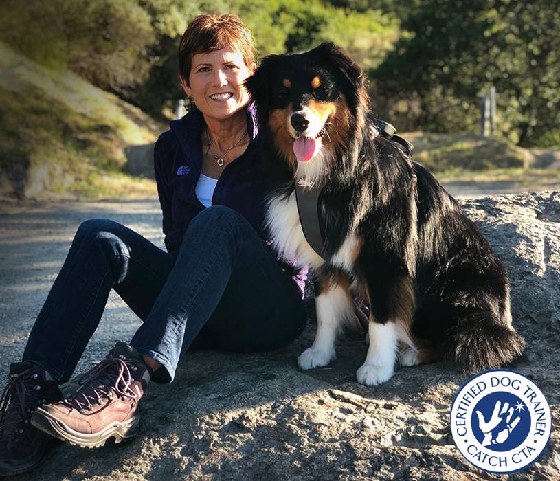 Building Trust, Not Tension: The Power of Positive Dog Training
