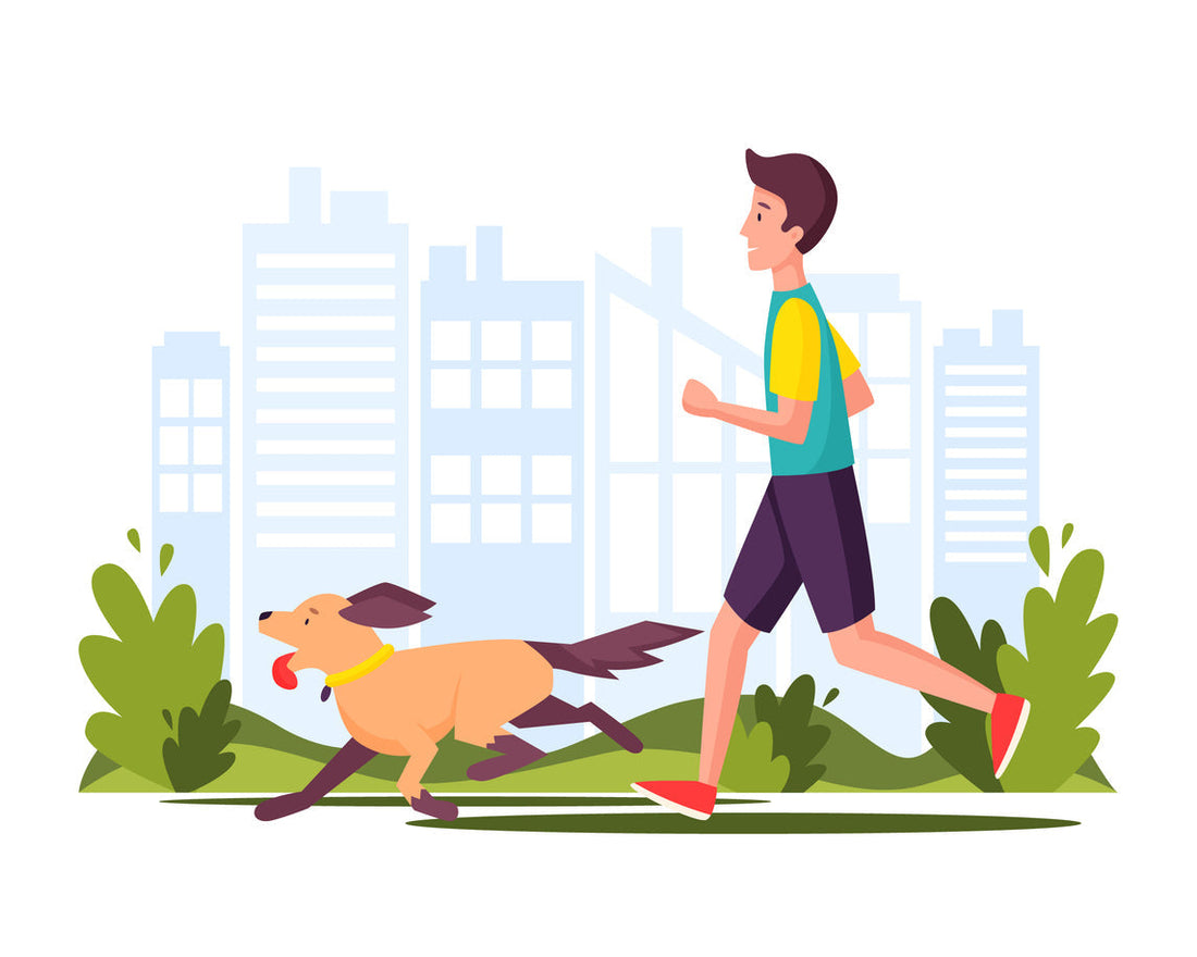 Running With Your Dog: How to Know if Your Dog Is a Good Running Partner