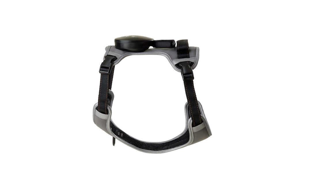 The FreeRun Leash