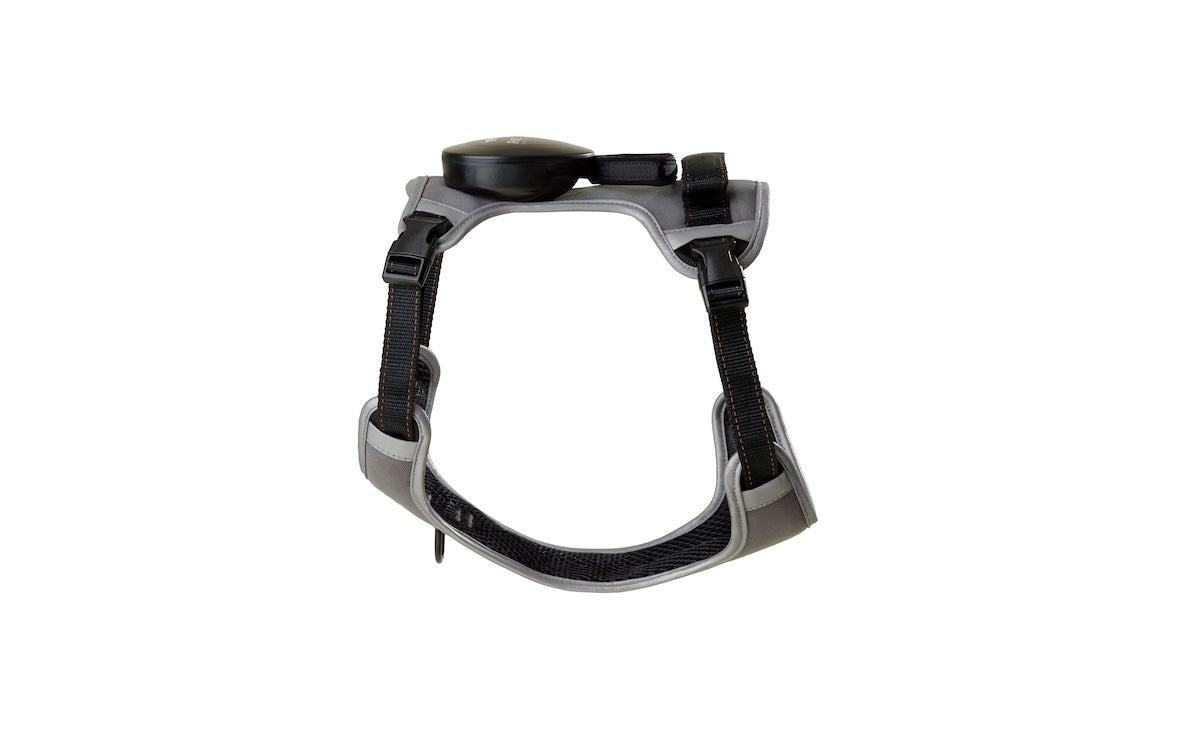 The FreeRun Leash™