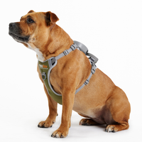 The FreeRun Leash™