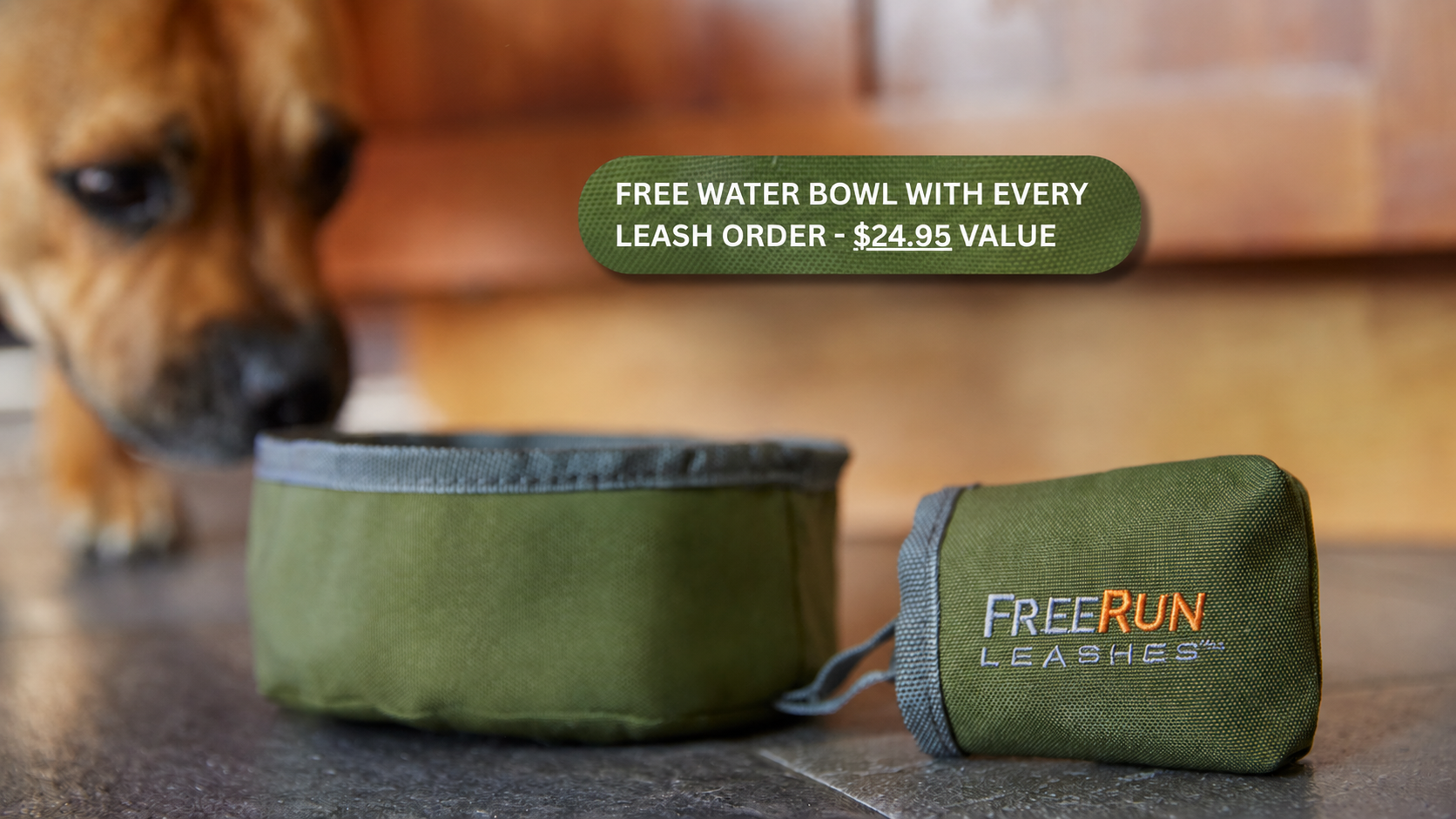 The FreeRun Leash™