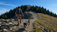 The FreeRun Leash™