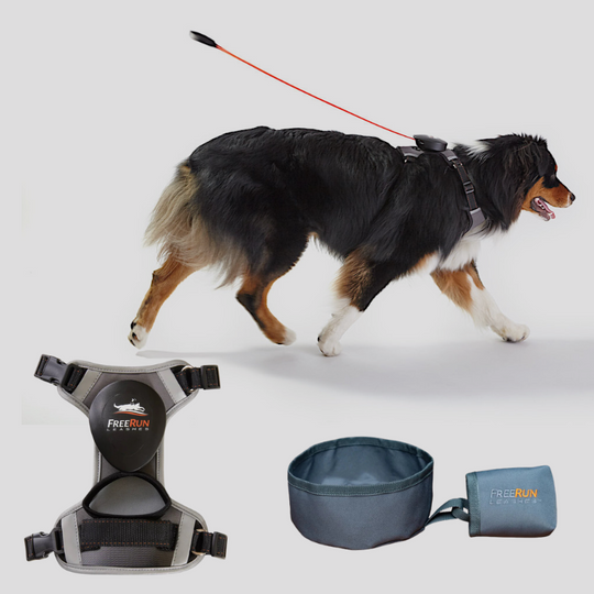 FALL SPECIAL: FreeRun Leash + FREE WaterBowl
