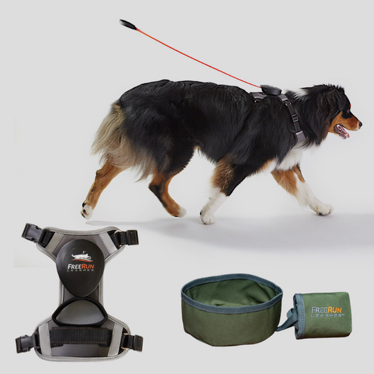 FALL SPECIAL: FreeRun Leash + FREE WaterBowl