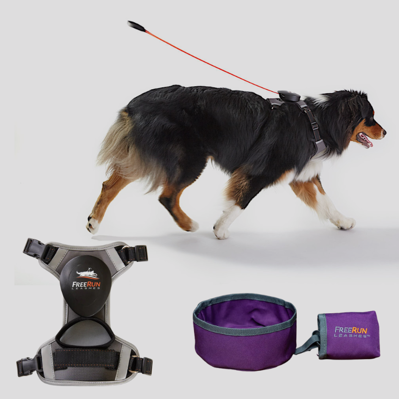 FALL SPECIAL: FreeRun Leash + FREE WaterBowl