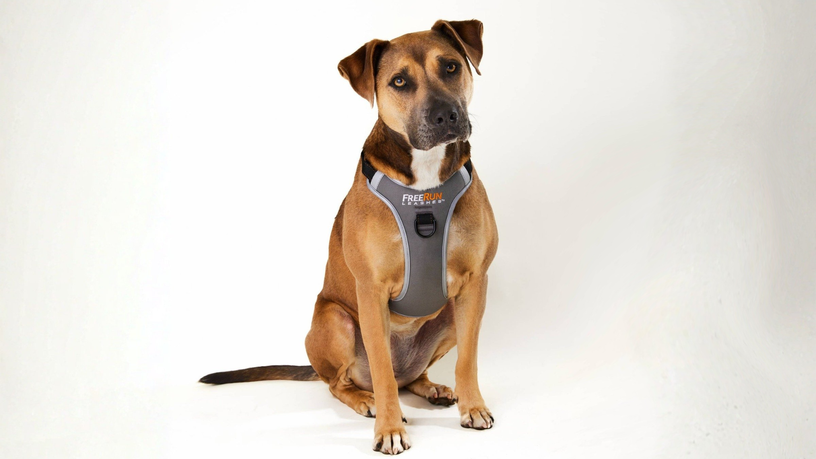 The FreeRun Leash™