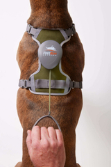 The FreeRun Leash™