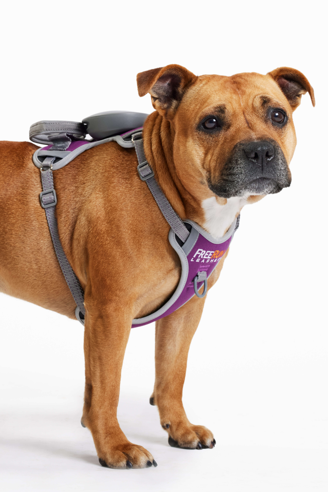 The FreeRun Leash™