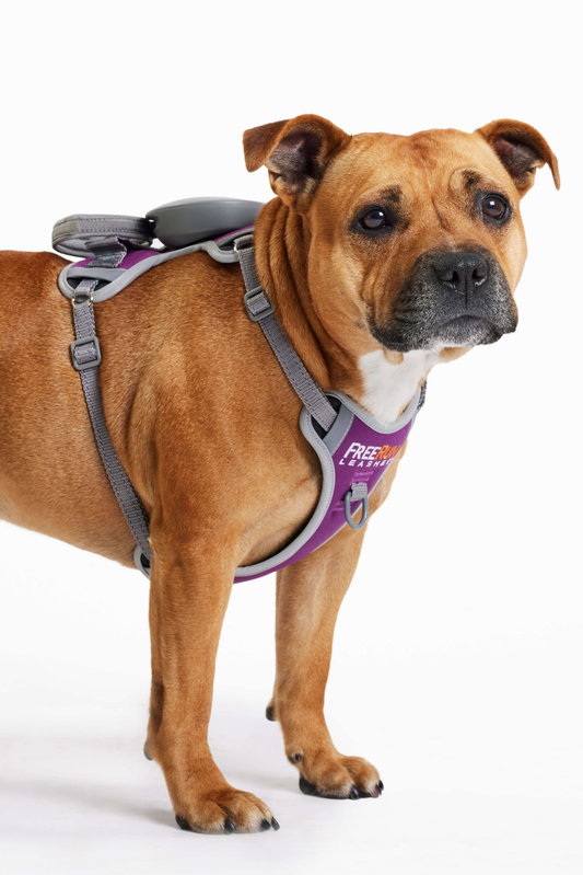 The FreeRun Leash™