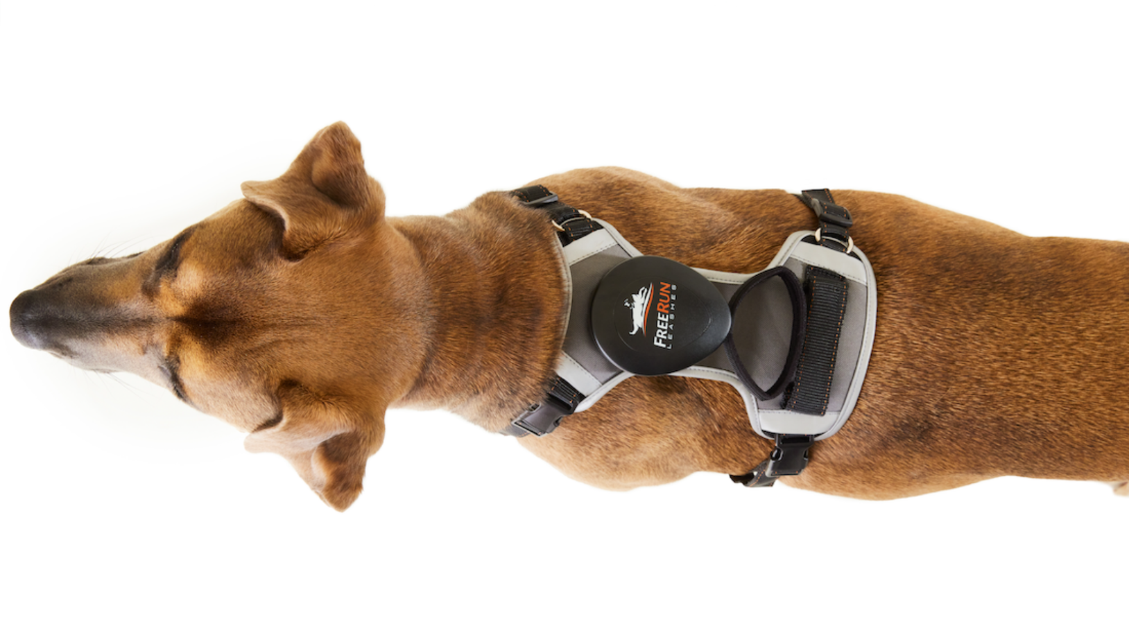 The FreeRun Leash™