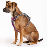 The FreeRun Leash™