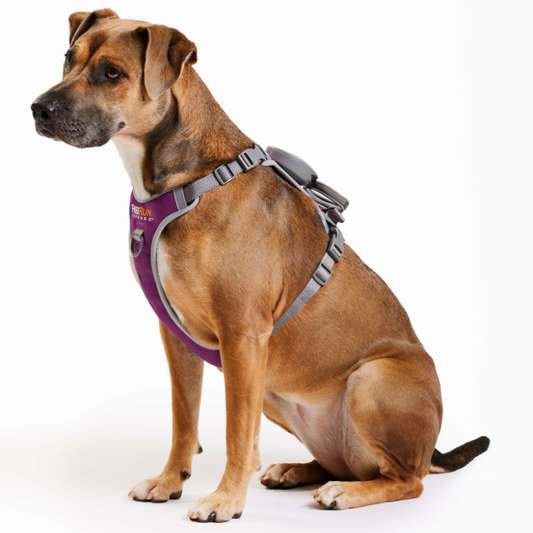 The FreeRun Leash™